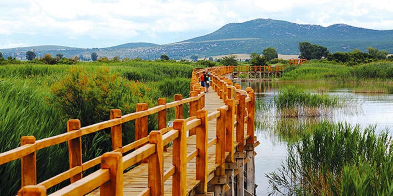 Villa Bubica- Cozy Holiday Home In Rural Area With Pool Stankovci  Dış mekan fotoğraf